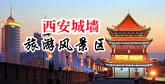 人妻12P中国陕西-西安城墙旅游风景区