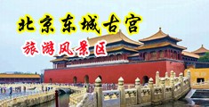 亚洲图区自拍偷中国北京-东城古宫旅游风景区